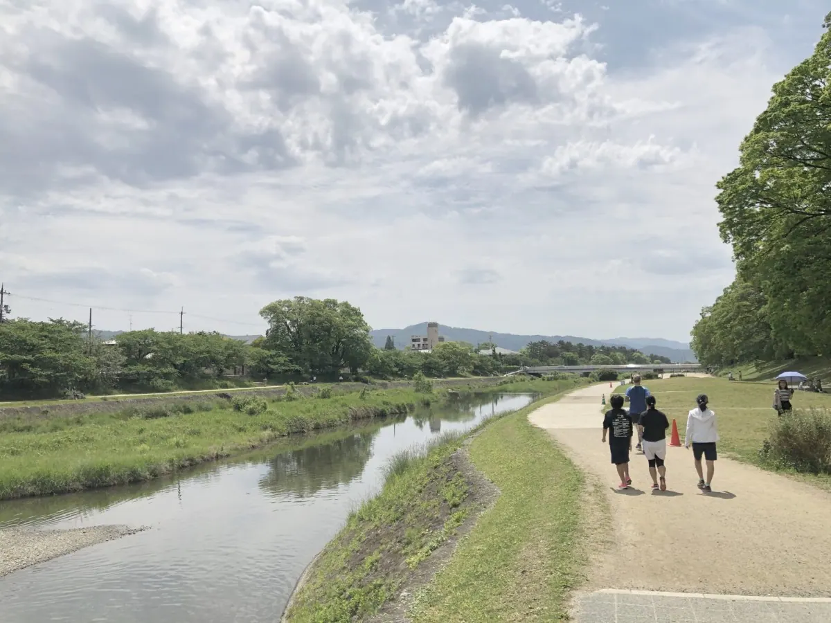 鴨川｜たくさんの人と野鳥が行き交い、一休みしたくなる水辺の画像2