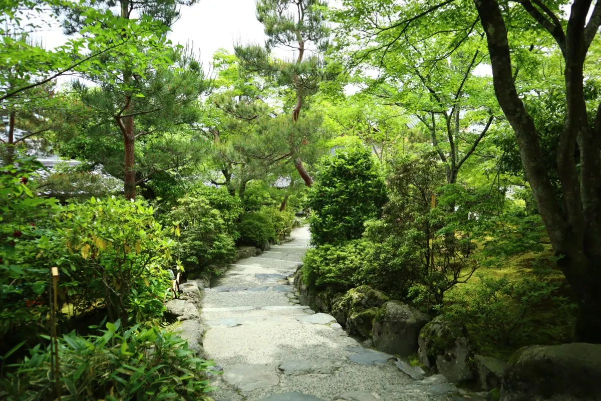 天龍寺｜焼失と復興によって歴史を築いてきた、嵐山が誇る世界遺産の画像7