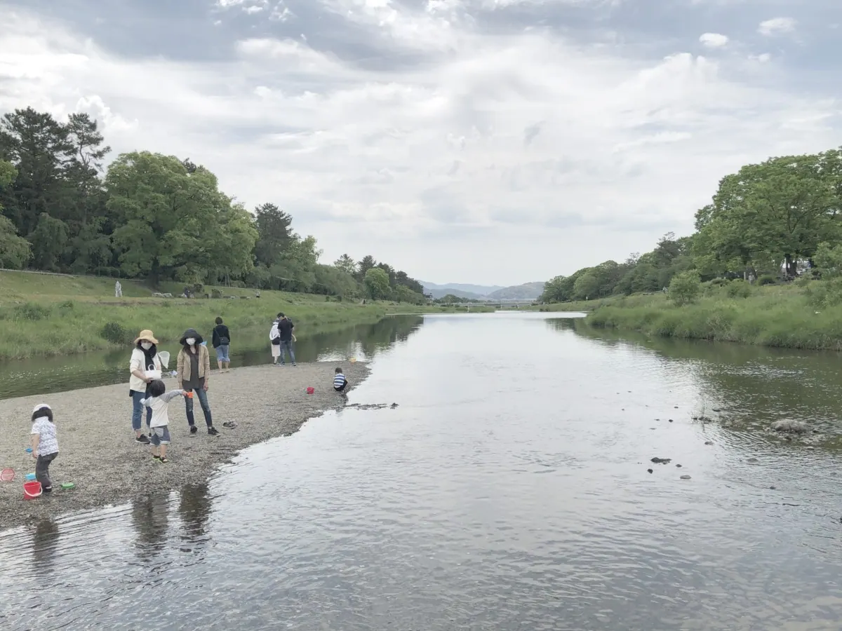 鴨川｜たくさんの人と野鳥が行き交い、一休みしたくなる水辺