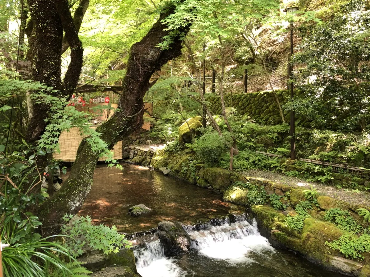 貴船神社｜恋愛と水の神をまつる、絵馬誕生の地の画像3
