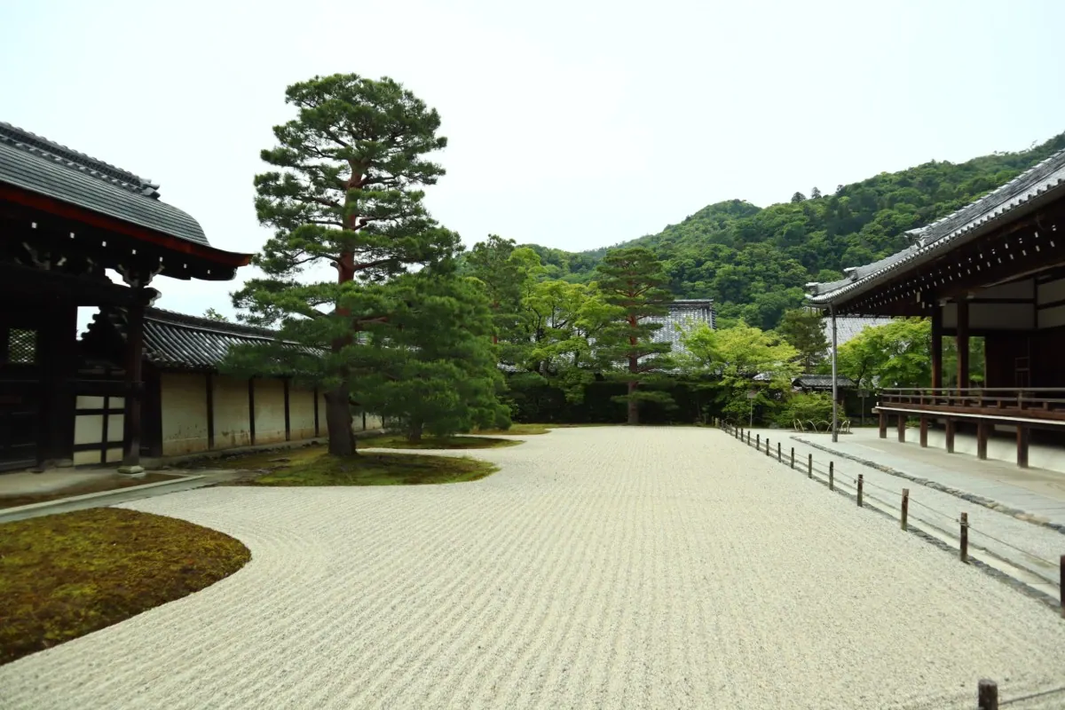 天龍寺｜焼失と復興によって歴史を築いてきた、嵐山が誇る世界遺産の画像5