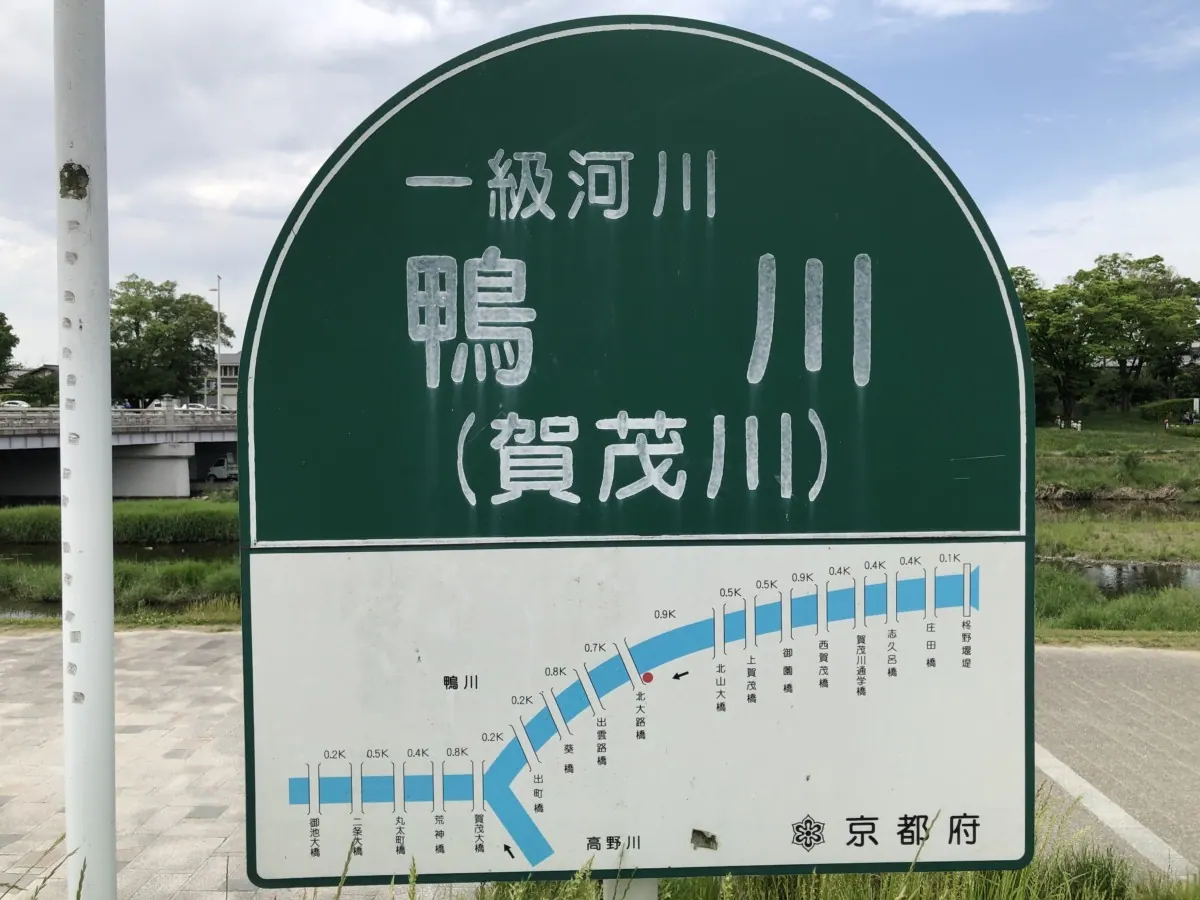 鴨川｜たくさんの人と野鳥が行き交い、一休みしたくなる水辺の画像5