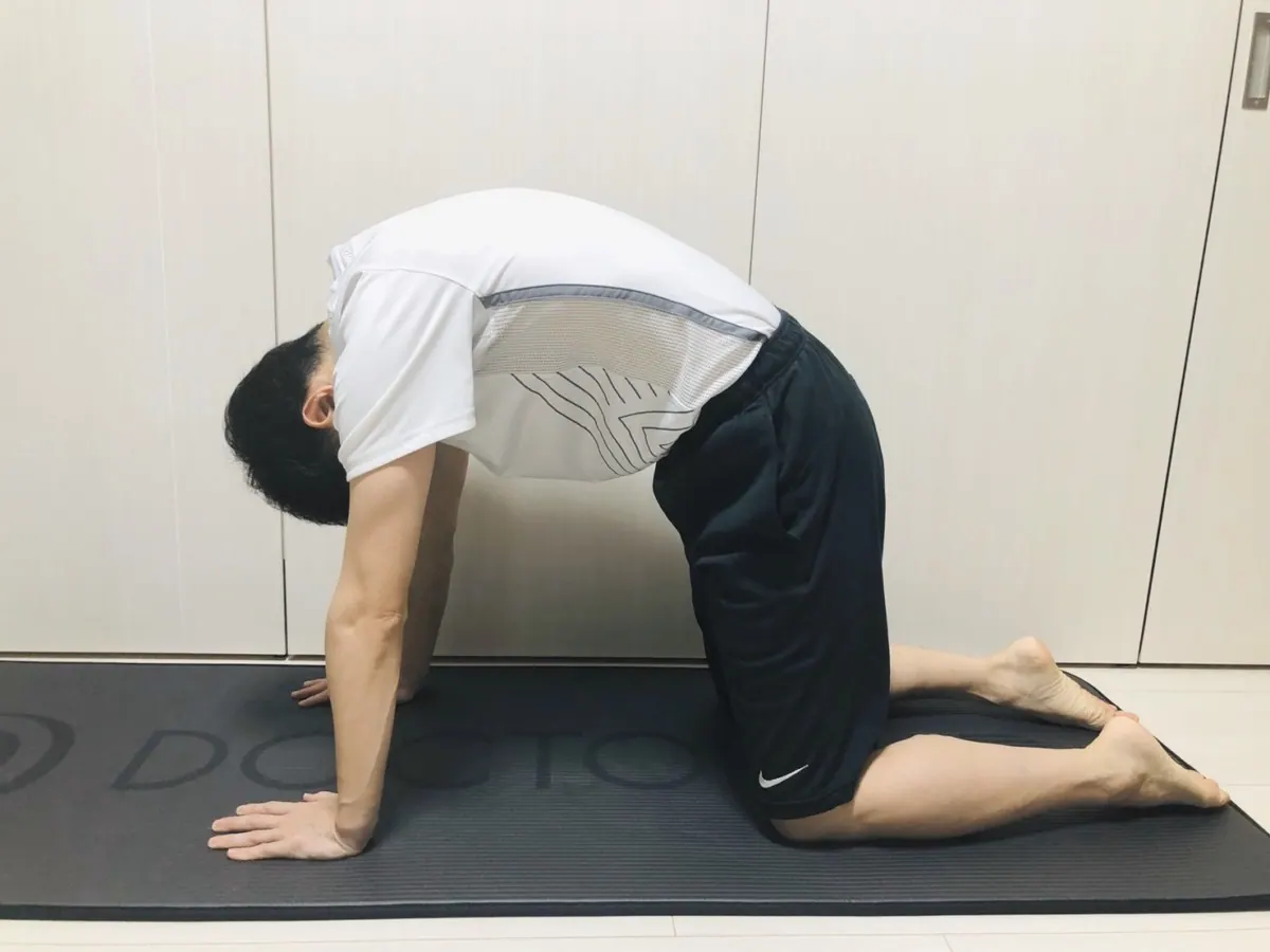 キャット・アンド・ドッグ｜山下章雄トレーナーの体改善メソッド②の画像1