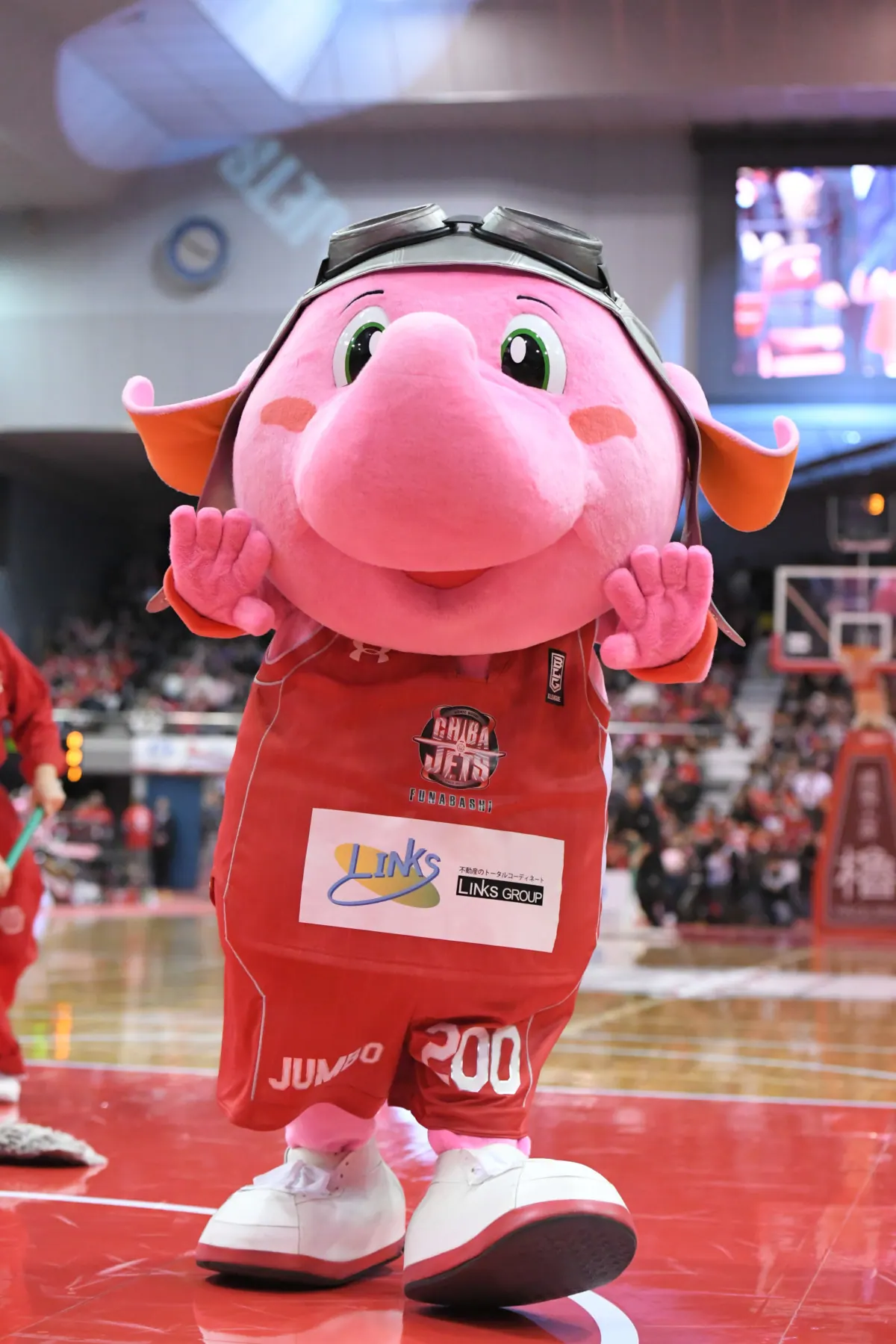 ジャンボくん（千葉ジェッツ）3年連続で人気投票1位に｜2019-20年BリーグBの画像2