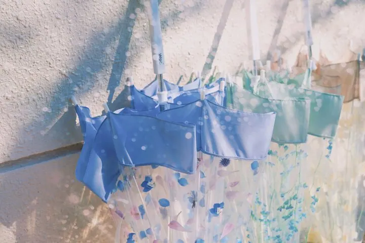 plantica×Wpc.™プラスティック・アンブレラで雨をおしゃれに楽しむ🎵の画像4