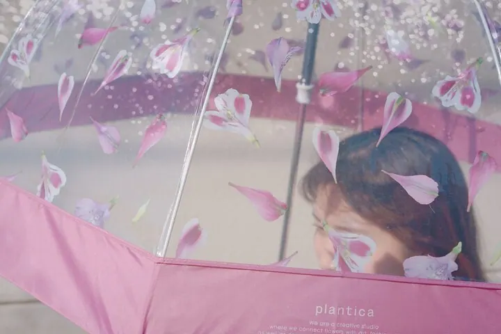 「plantica×Wpc.™」プラスティック・アンブレラで雨をおしゃれに楽しむ🎵
