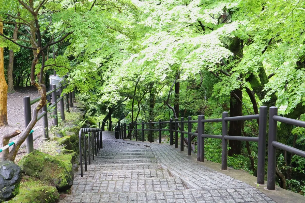 清水寺|見どころが多過ぎ!京都の代名詞とも言える観光名所の画像13