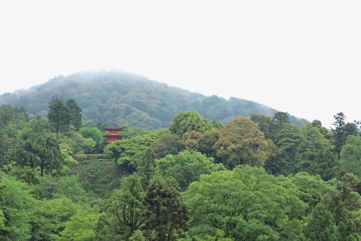 清水寺|見どころが多過ぎ!京都の代名詞とも言える観光名所の画像14