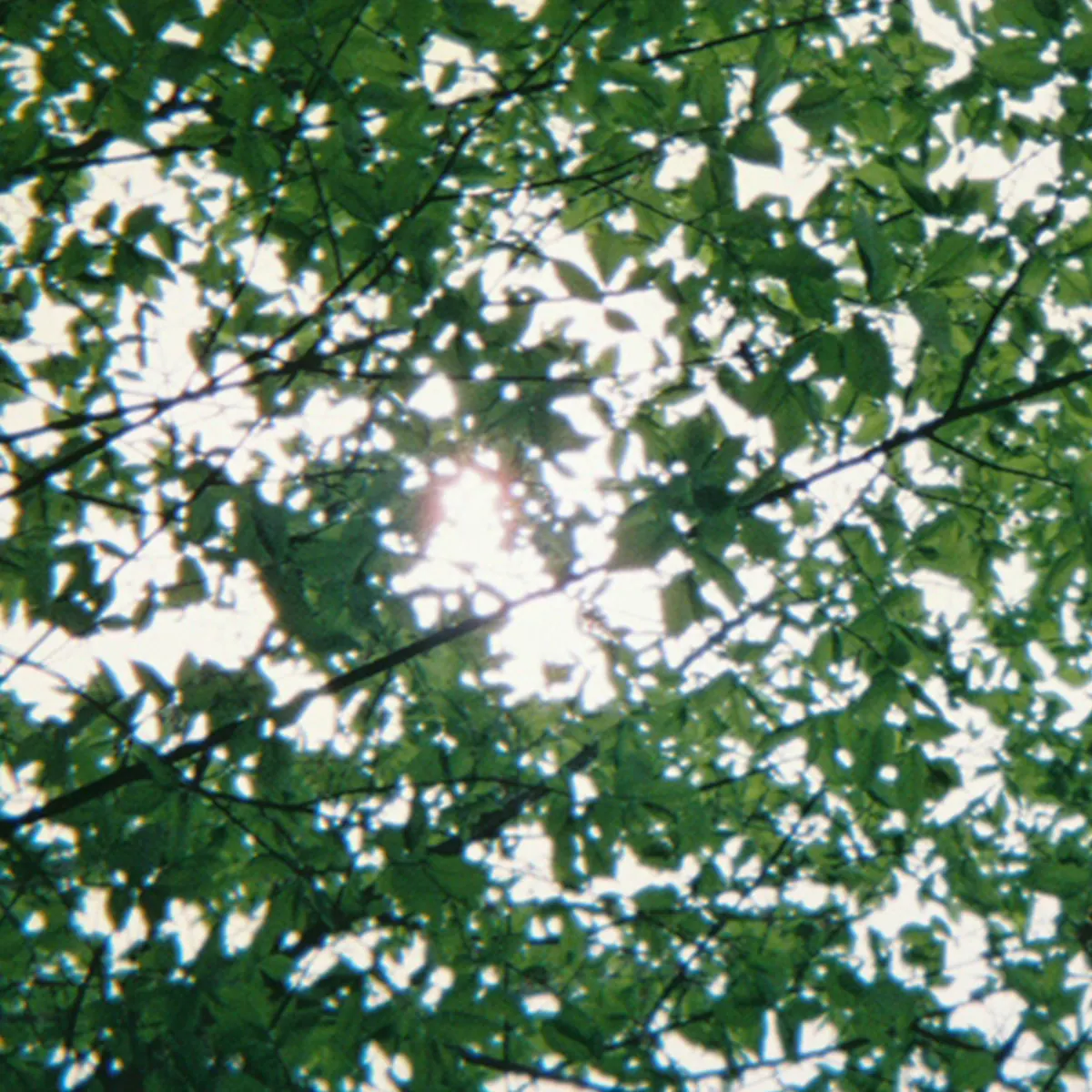 神戸出身、NY在住のrei brownが新曲Bubbleをリリース！の画像2