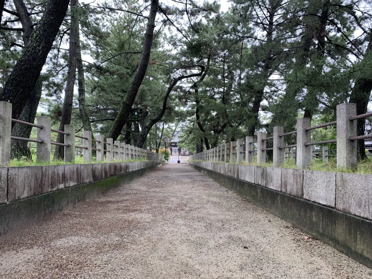 法隆寺｜聖徳太子が父の病気回復を願って建てた世界最古の木造建造物の画像5