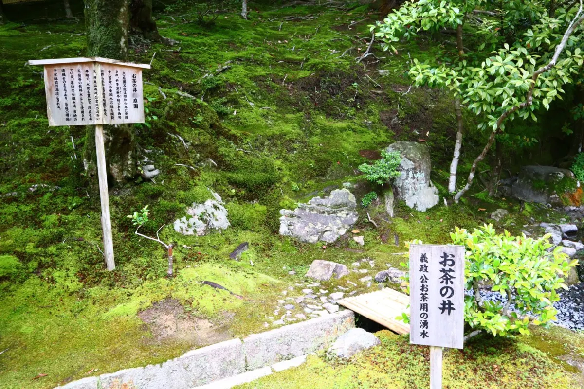 銀閣寺｜正式名称は慈照寺。足利義政が建立した京都一落ち着きのある山荘の画像4
