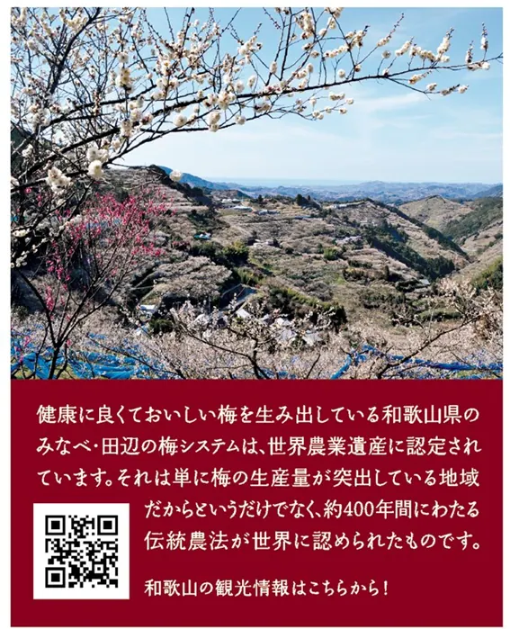 サッポロポテトと和歌山の紀州産南高梅がコラボしたワケの画像2