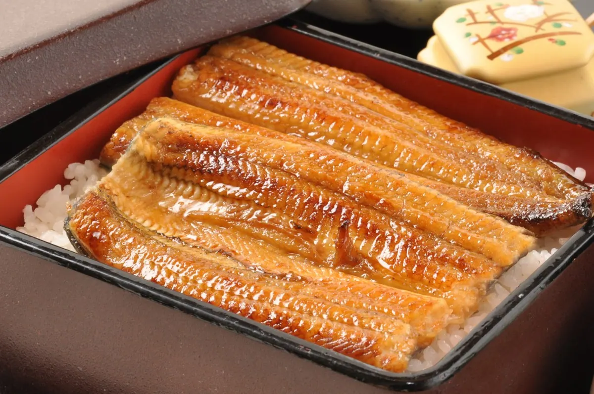 神戸たむら|土用の丑の日に、うな重弁当を食べて免疫力をアップしよう!