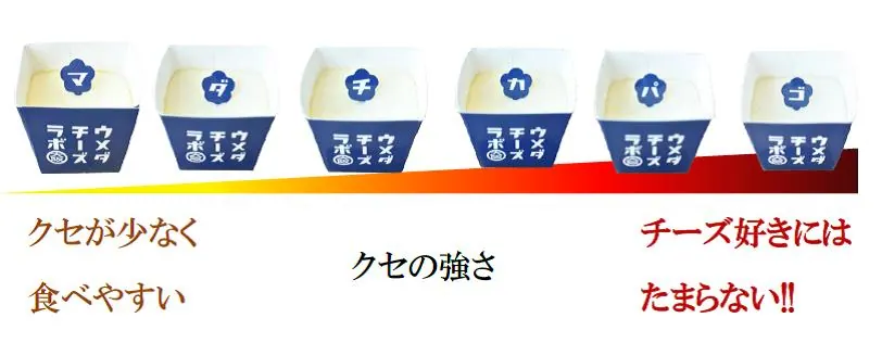 ウメダチーズラボ｜大丸松坂屋にスプーンで食べる人気チーズケーキが登場の画像4
