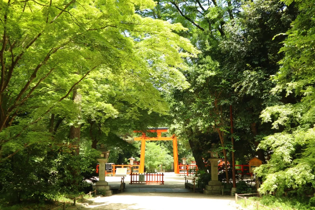 下鴨神社｜京都最古の神社の1つ。君が代のさざれ石がある最強パワースポットの画像2