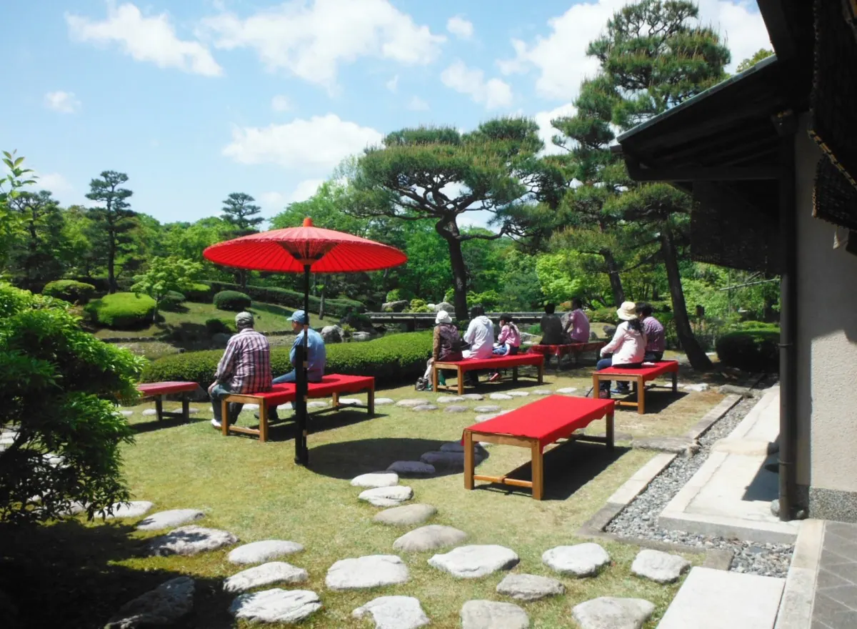 蓮の花を眺めながら抹茶を堪能する！びわこ文化公園でイベント開催中の画像2