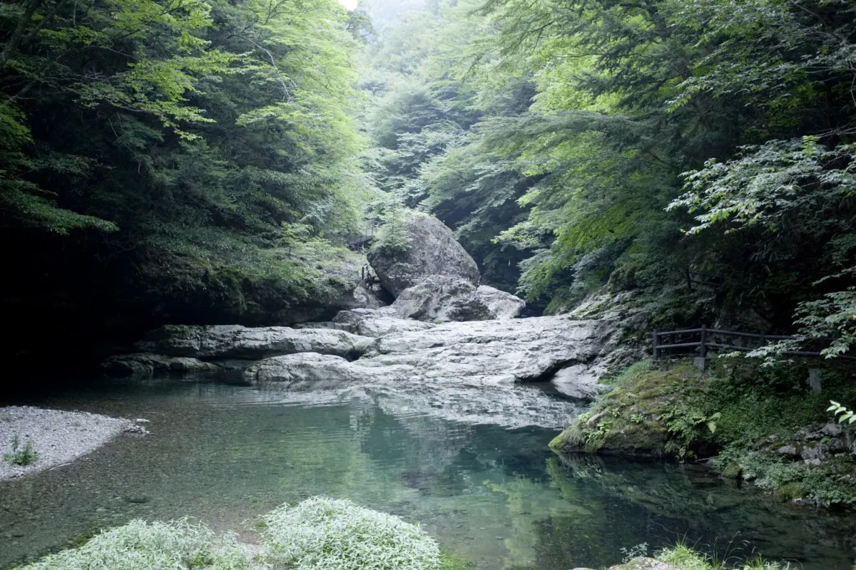 奈良の芸術祭MIND TRAIL 奥大和 心のなかの美術館を10月に開催の画像2