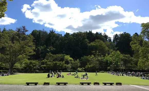 蓮の花を眺めながら抹茶を堪能する！びわこ文化公園でイベント開催中の画像5