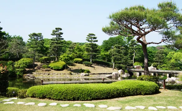 蓮の花を眺めながら抹茶を堪能する！びわこ文化公園でイベント開催中の画像3