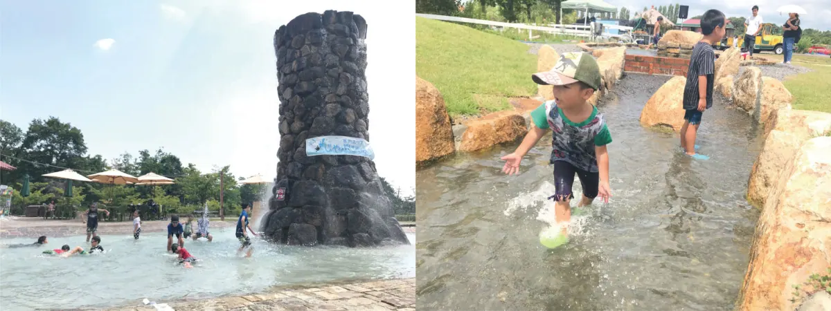 一面に咲くひまわりを今見てほしい！〜滋賀農業公園ブルーメの丘〜の画像4