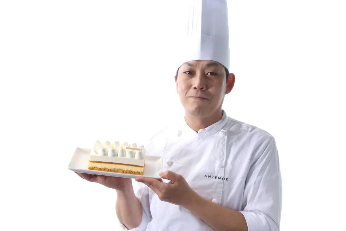 アンテノール究極の口どけ冷凍・限定チーズケーキ！オンラインで販売の画像4