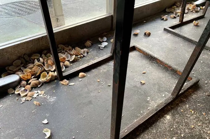 天ぷら大吉大阪一有名で美味い天ぷら屋がテイクアウトを本格的に開始の画像2