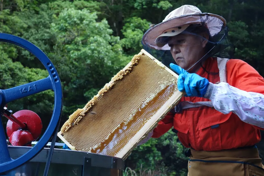 BeNeくずはモール店オープン！雅蜂園生はちみつセットをプレゼント！の画像8