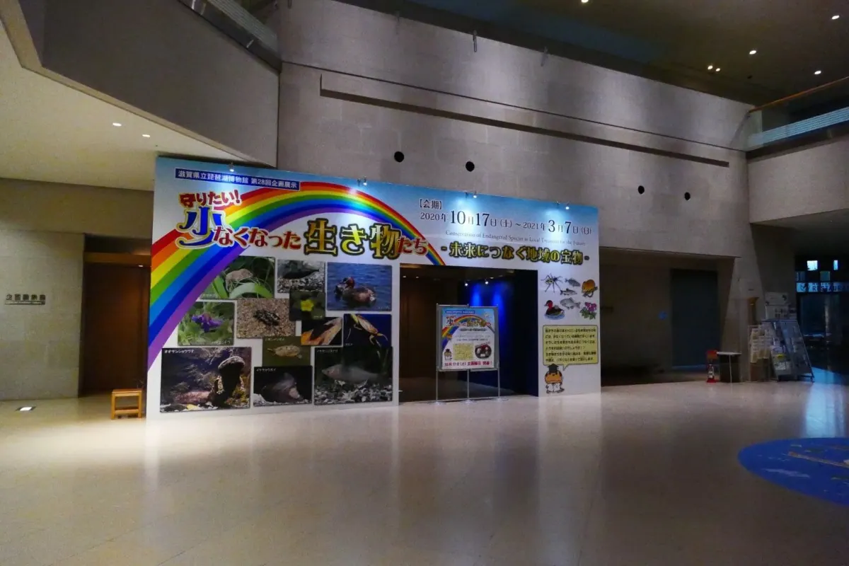 琵琶湖博物館｜絶滅の危機にある守りたい生き物たちの標本&パネルを展示の画像1