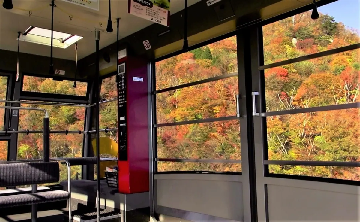 びわ湖バレイ山頂からの紅葉は絶景！Go Toトラベルクーポンでお得に！の画像2