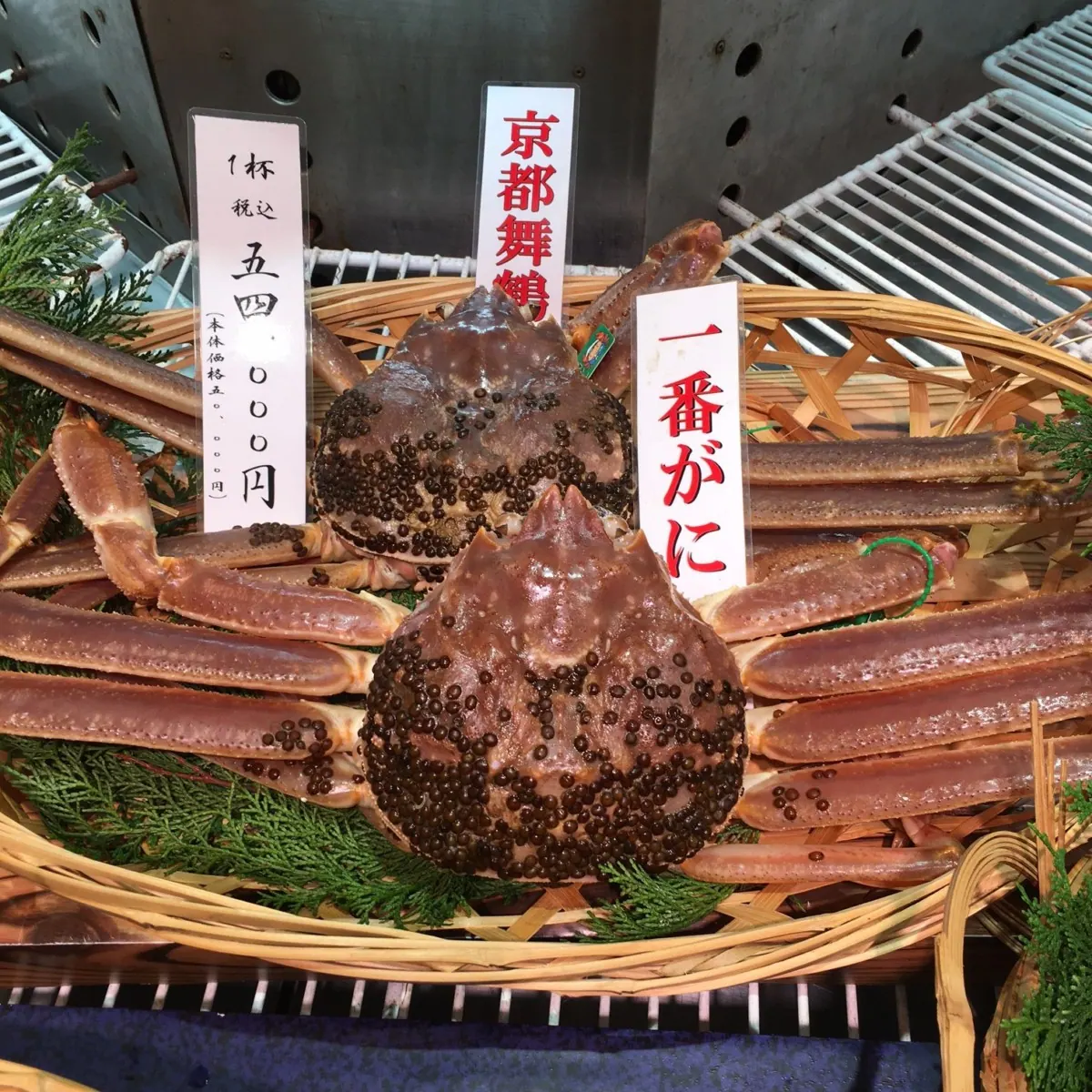 【阪神梅田本店】舞鶴から直送の「松葉ガニ」を堪能できる日がやって来た！