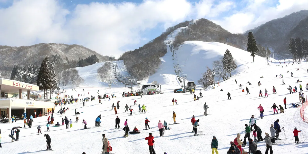関西最大級のスキー場グランスノー奥伊吹12月19日(土)に オープン!!の画像1