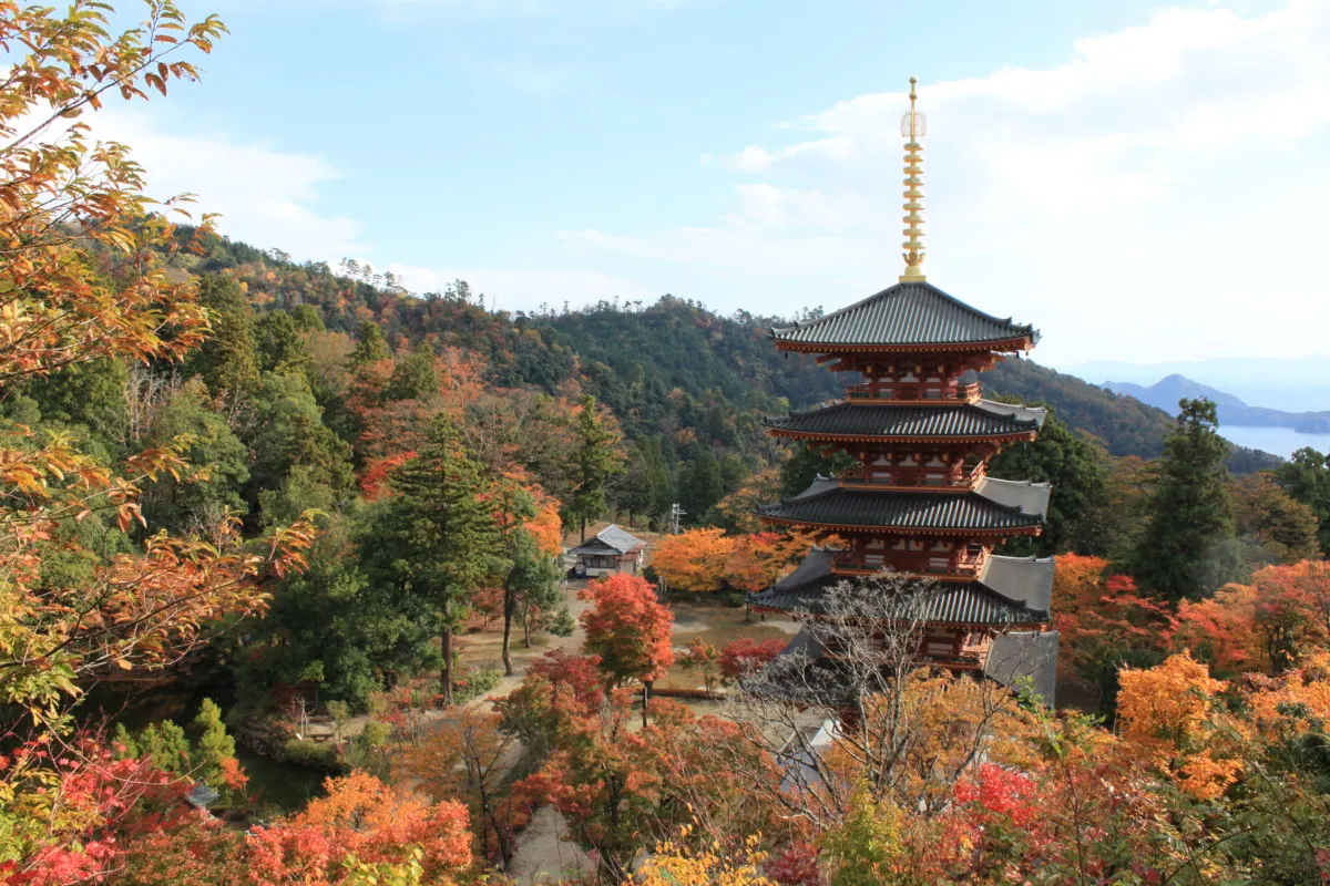 成相寺天橋立と日本海を一望できる絶景スポット!の画像1