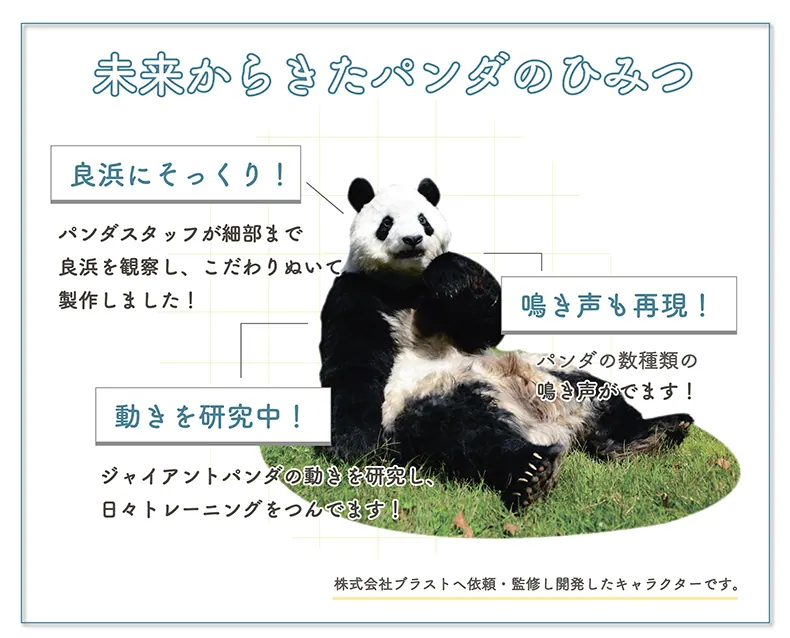 アドベンチャーワールド|ジャイアントパンダの名前がすみれ(Smile)に決定!の画像3