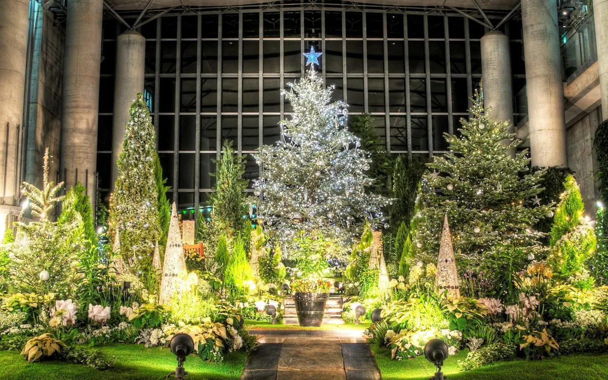 グランドニッコー淡路｜幻想的な雰囲気の中で、贅沢なクリスマスディナープランを満喫の画像4