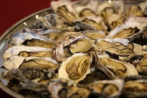 MARINE-Q|広々ウッドデッキで焼き&蒸し牡蠣食べ放題をスタート!の画像3