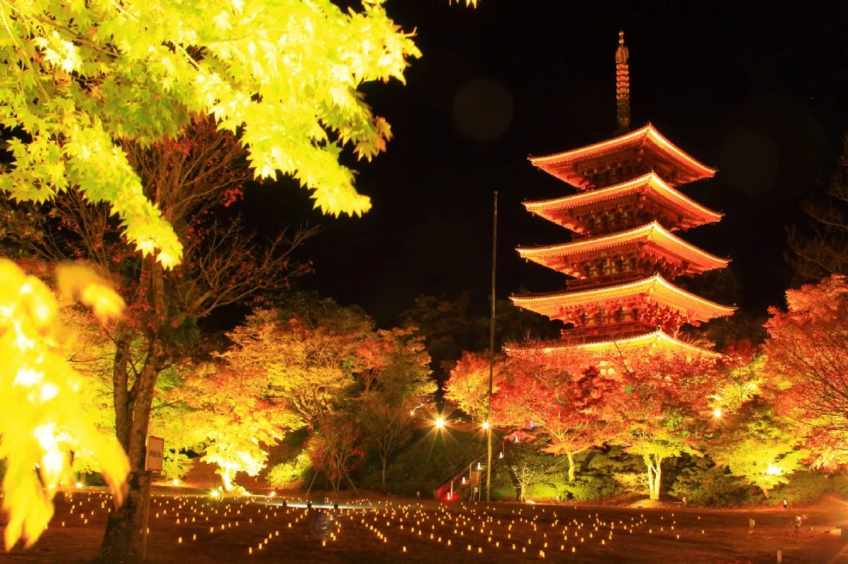 【成相寺】天橋立と日本海を一望できる絶景スポット!