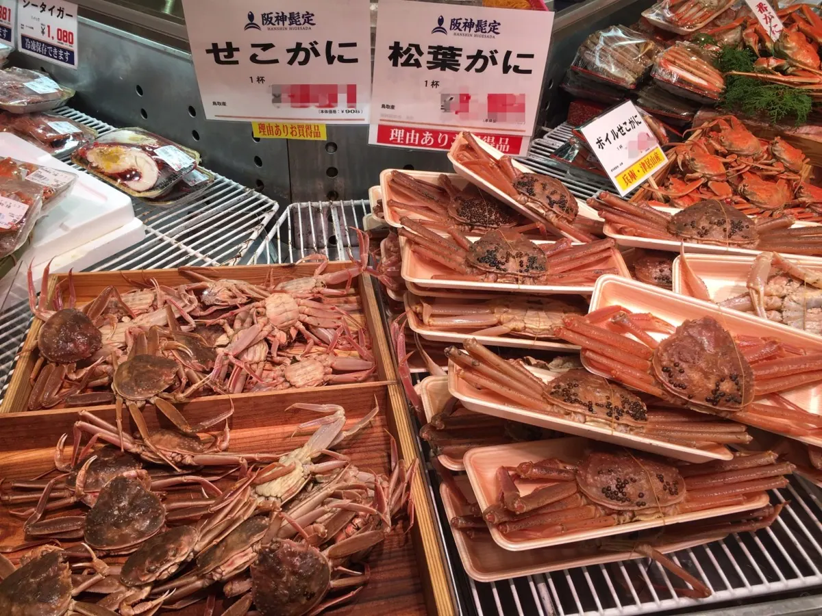 阪神梅田本店舞鶴から直送の松葉ガニを堪能できる日がやって来た！の画像3