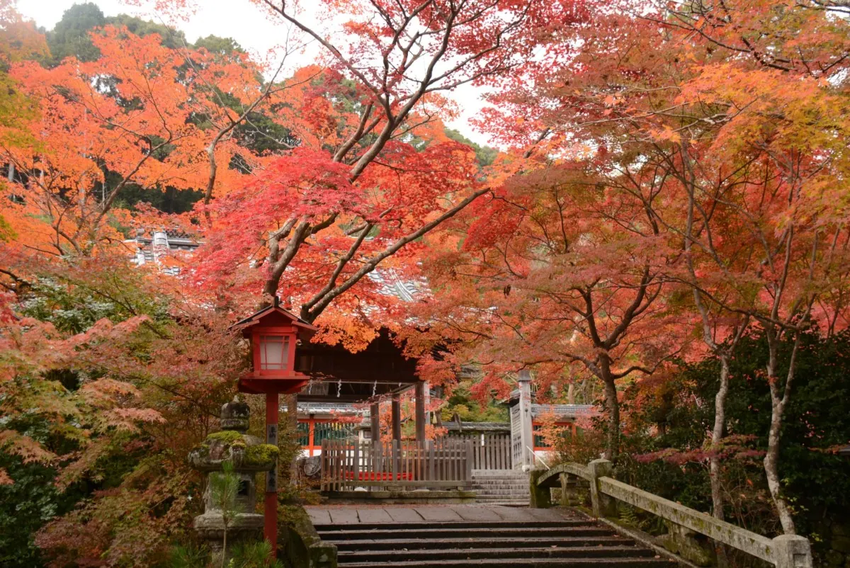 「鍬山神社」荘厳な雰囲気が漂う境内の紅葉は圧巻!