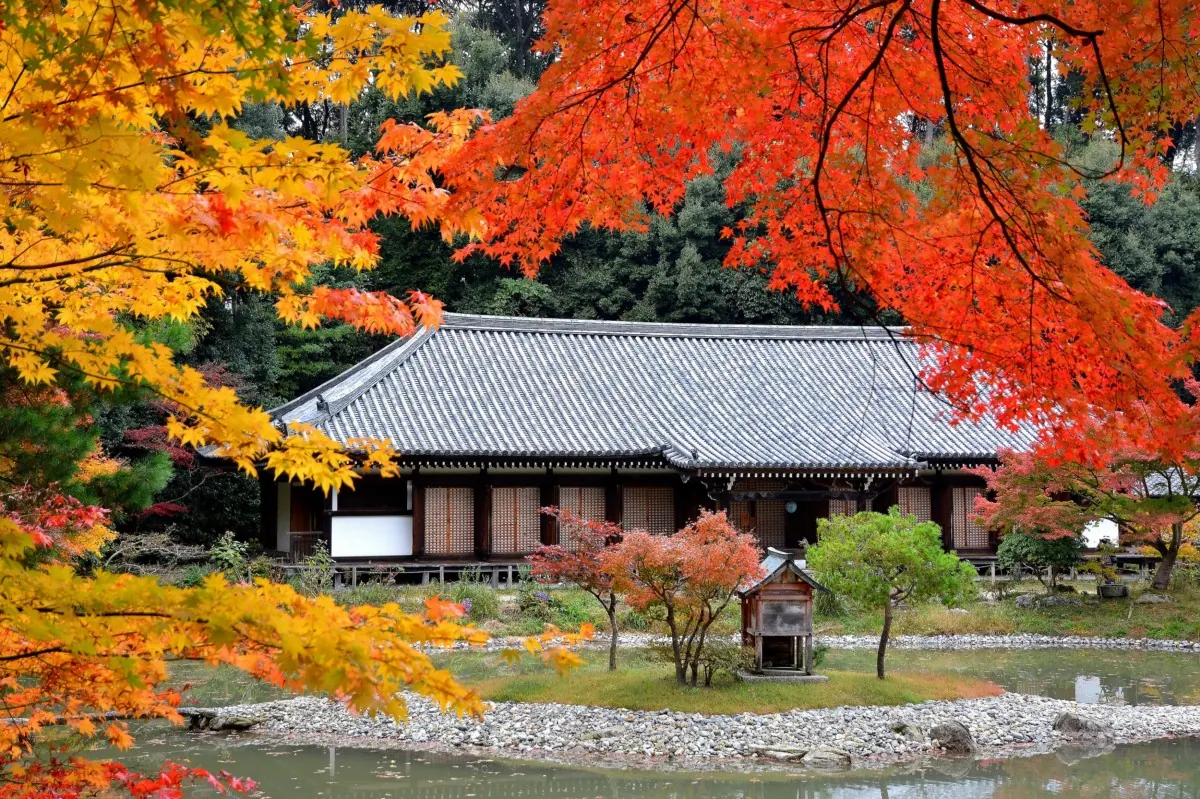 【浄瑠璃寺】阿弥陀如来像は必見!紅葉を背景に、この世の極楽浄土を体感してほしい。