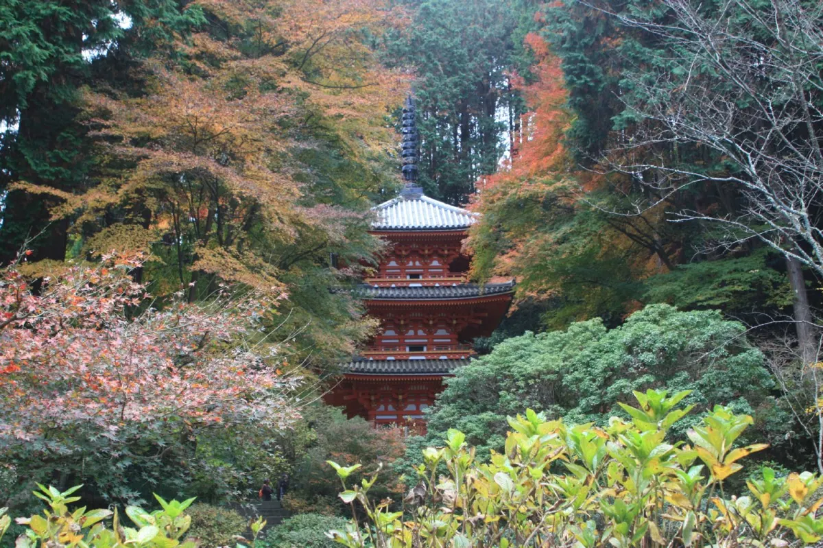 【岩船寺】三重の塔を囲む、神秘的な紅葉から感じる奥深い秋!