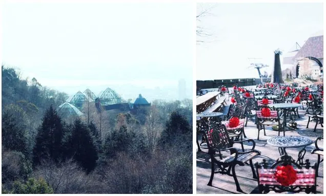 ひと足早くクリスマス&バレンタイン気分に！〜神戸布引ハーブ園〜の画像5
