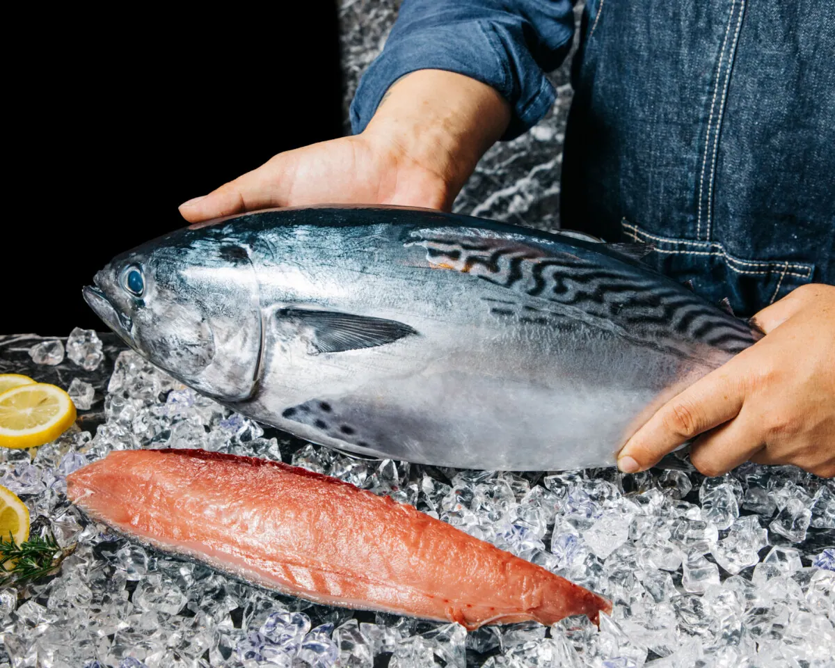 愛“媛”を応“援”!幻の高級魚“媛”スマを使用〜魚イタリアン&オイスター 梅田ワの画像1