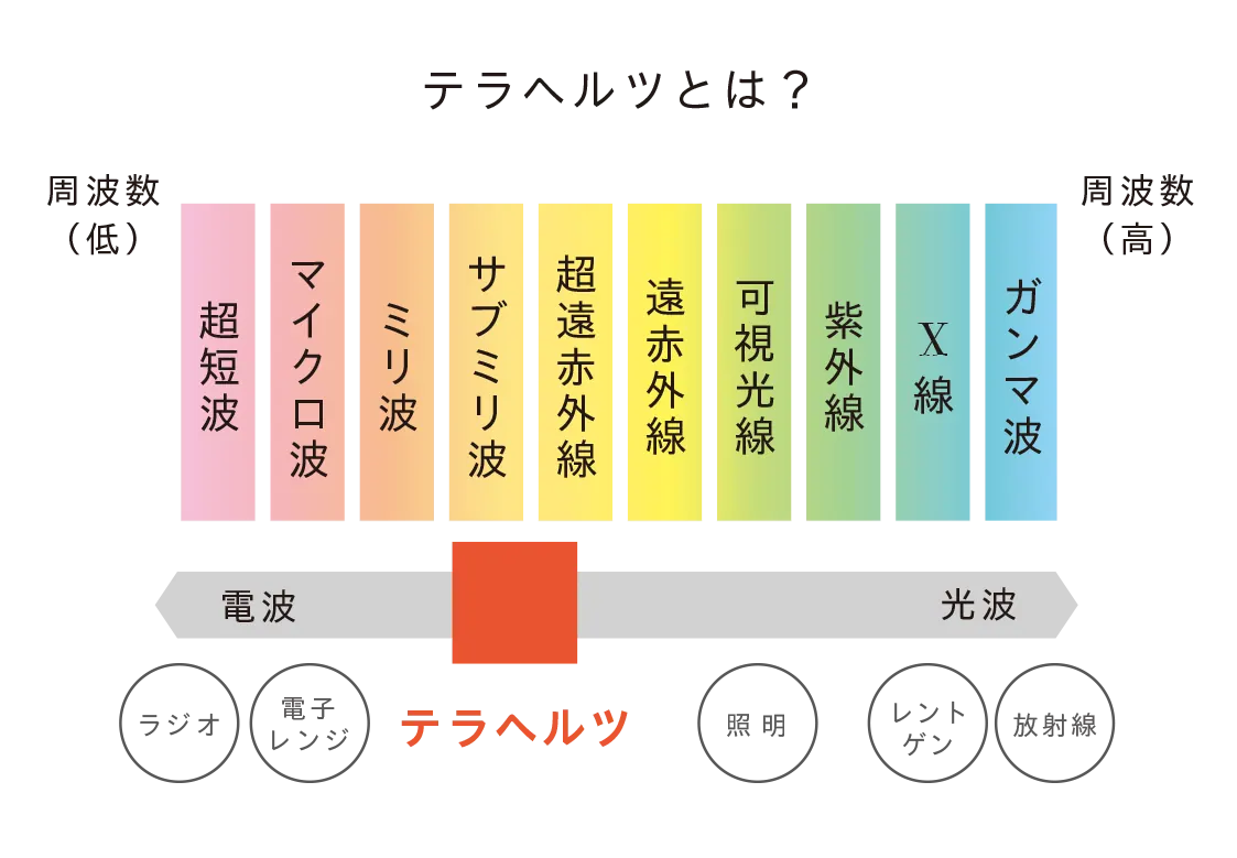 安心した睡眠を実現！超吸収型サニタリーショーツ ベア ウルトラ ヘビー＆ナイト の画像3