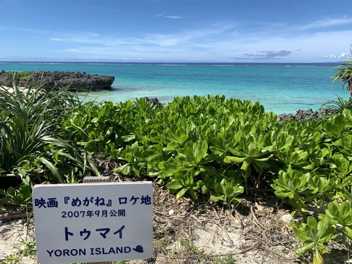 2022年に行ってほしい、ええ感じのあたたかい場所をご紹介！の画像15