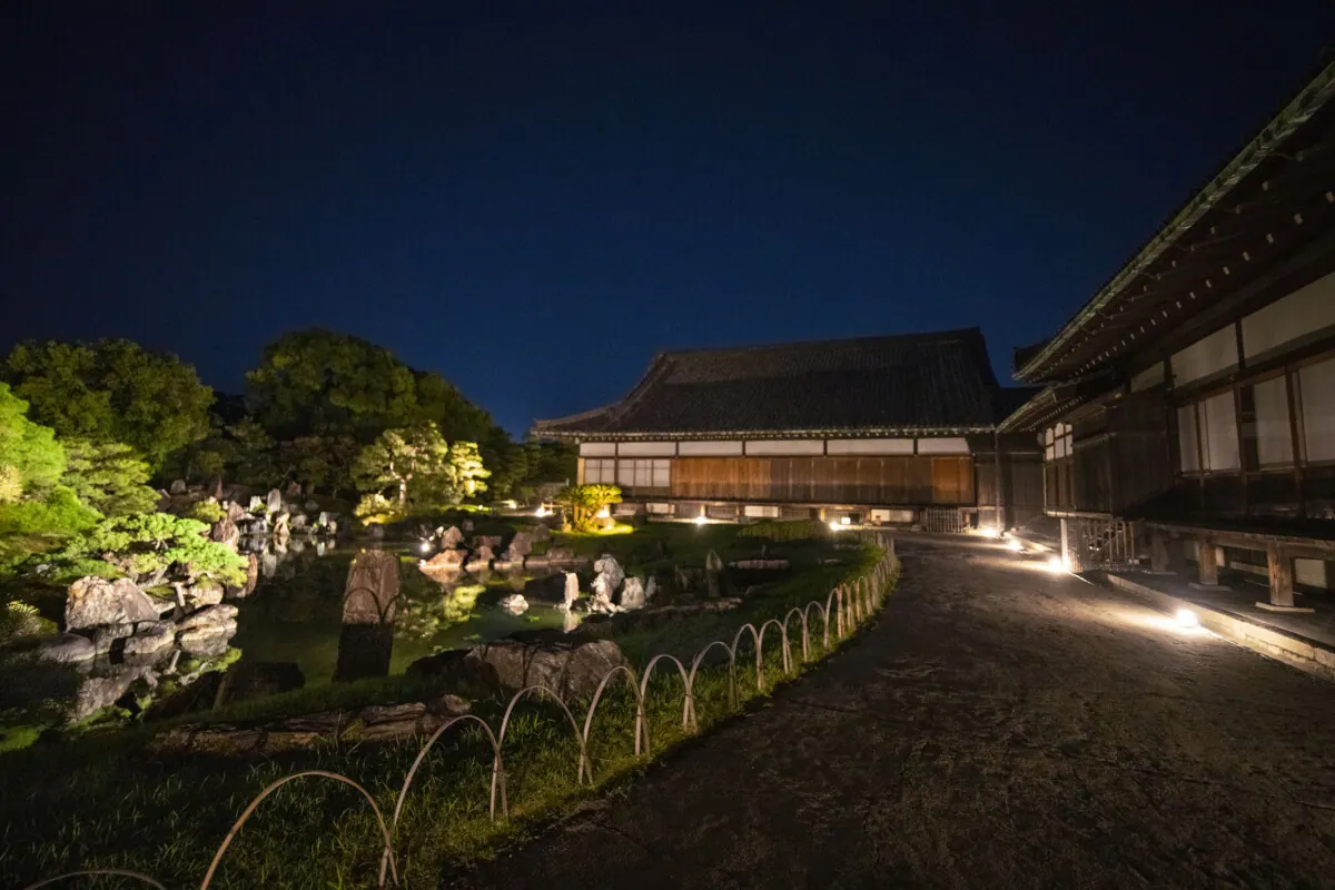 紅花を深感する。NAKED FLOWERS 2022 秋 世界遺産・二条城アートの画像2