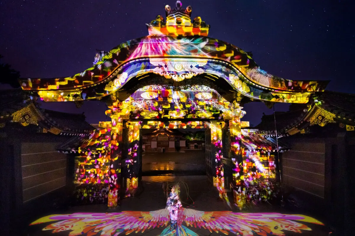 紅花を深感する。NAKED FLOWERS 2022 秋 世界遺産・二条城アートの画像6