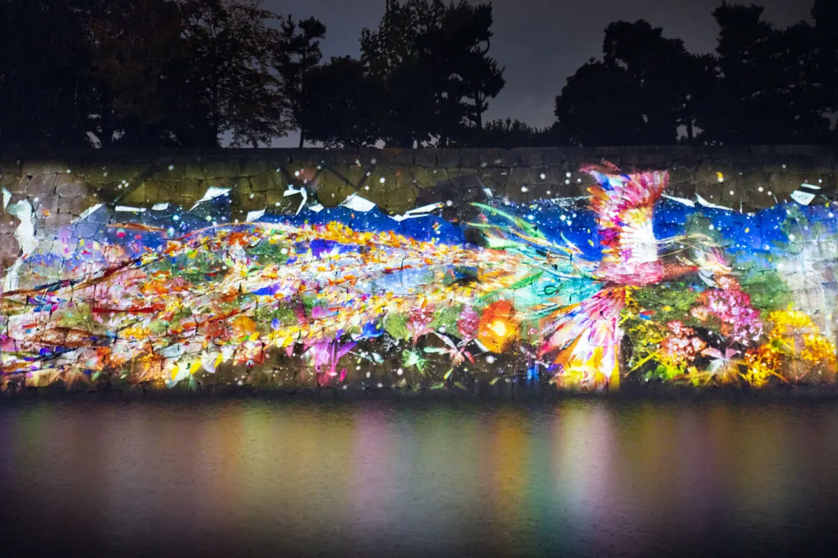 紅花を深感する。NAKED FLOWERS 2022 秋 世界遺産・二条城アートの画像5