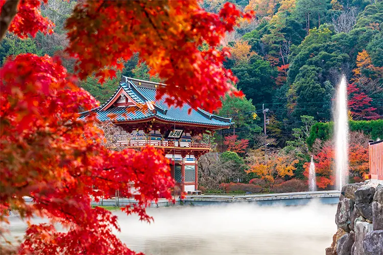 〇〇寺行きの、紅葉を堪能できるシャトルバスに乗れる!?の画像1