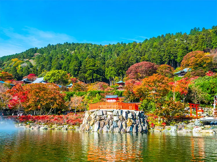 〇〇寺行きの、紅葉を堪能できるシャトルバスに乗れる!?の画像2