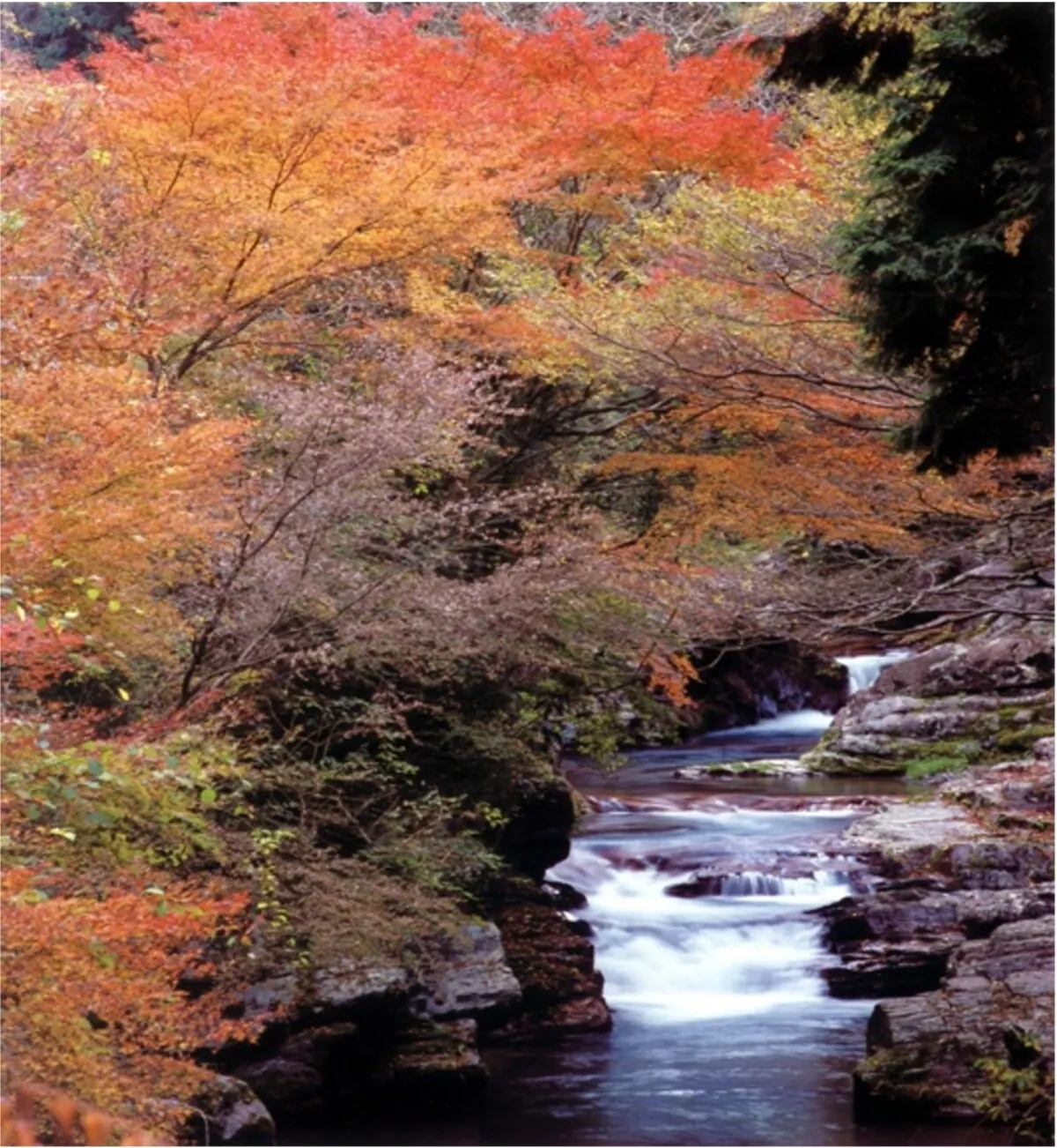 冬の奈良を満喫できる、魅力盛り沢山なキャンペーンを開催!